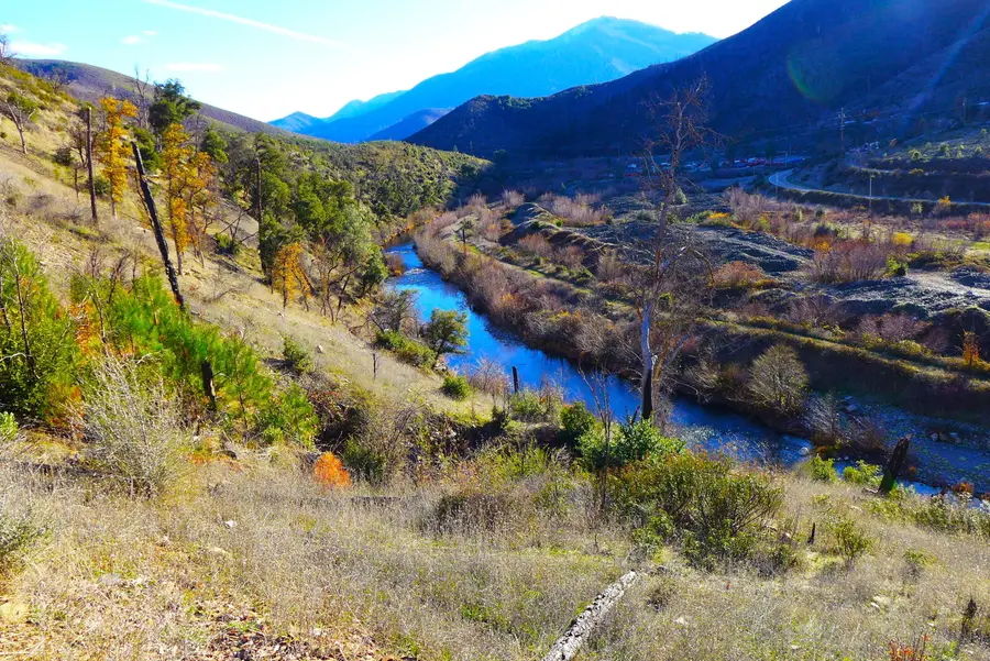 000 Trinity Mountain Road, French Gulch, CA 96033 - Image #3