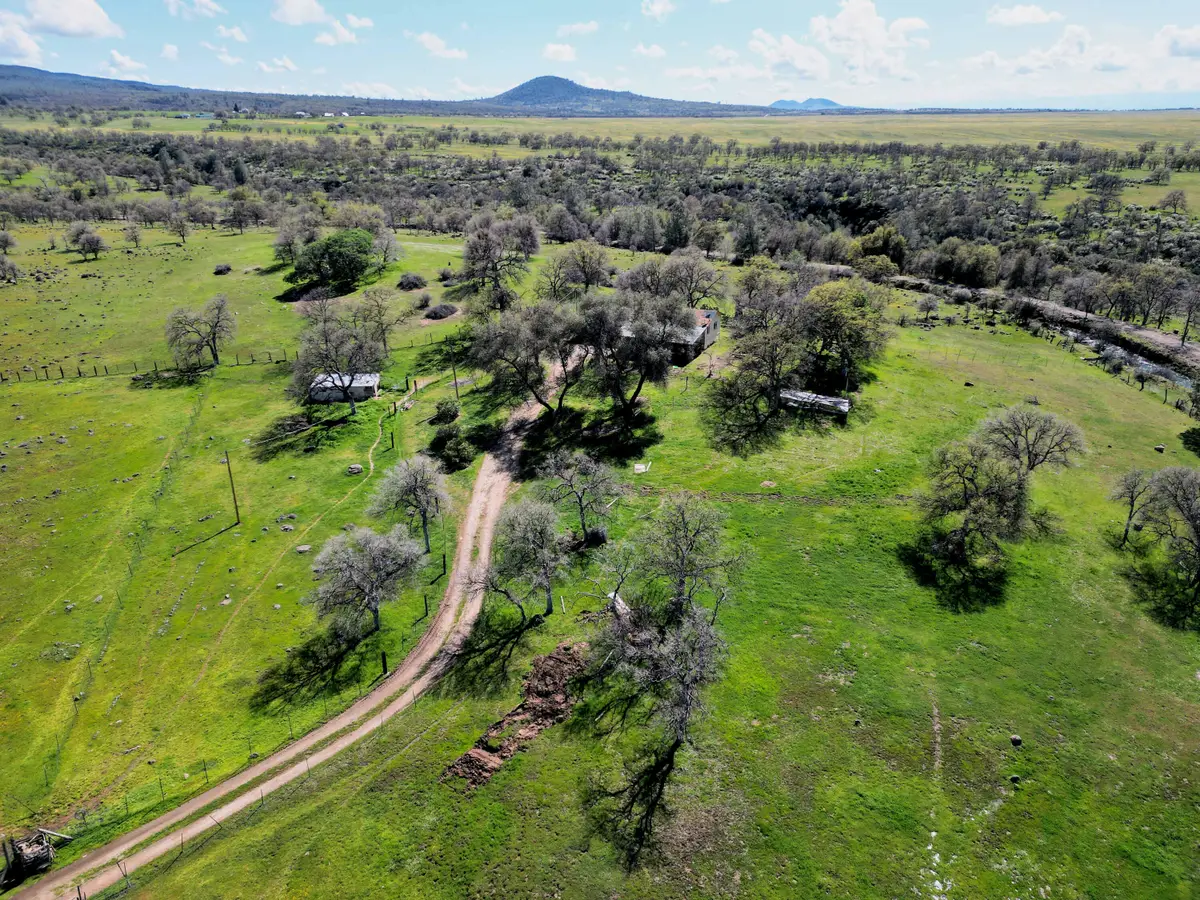 21675 Wildcat Road, Paynes Creek, CA 96075 - Image #1