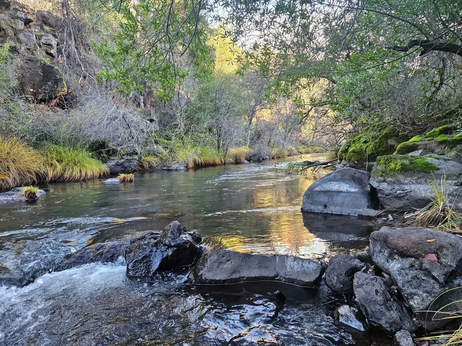 21675 Wildcat Road, Paynes Creek, CA 96075 - Image #2