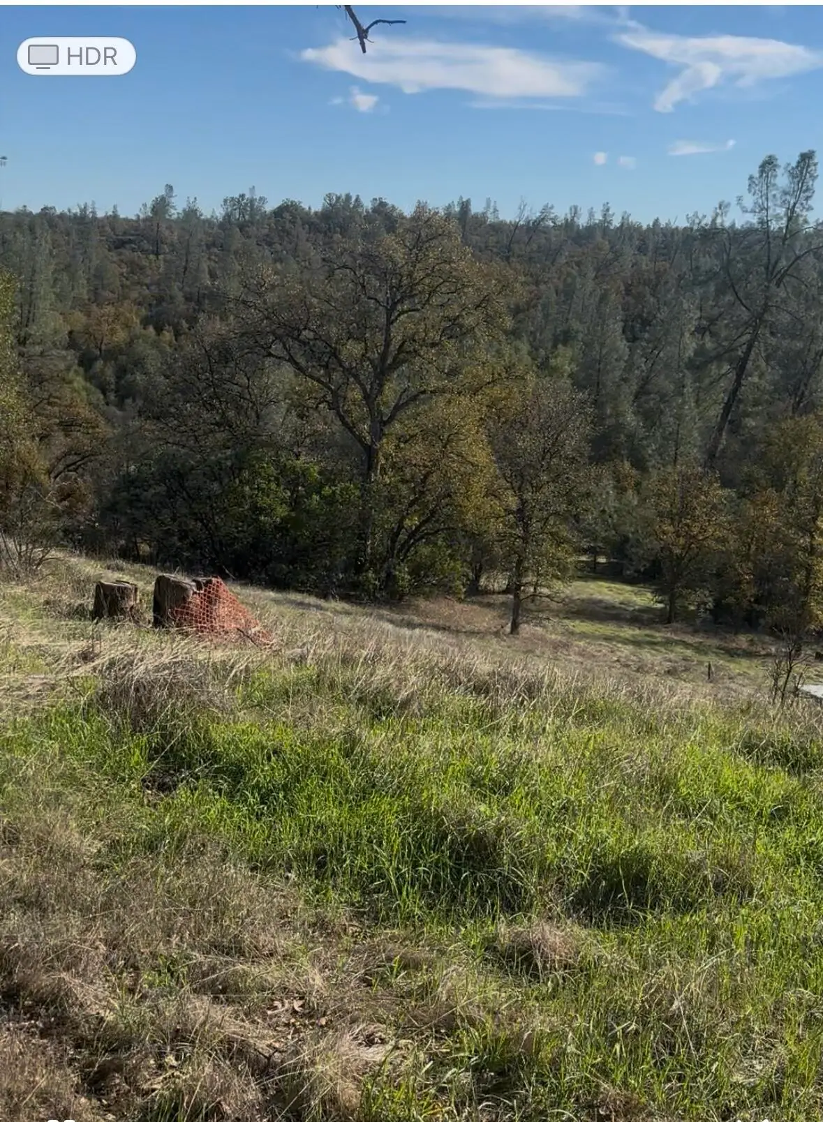 17740 Papas Place, Cottonwood, CA 96022 - Image #1