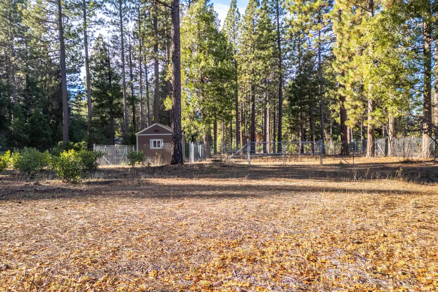 Serpentine Lane, Burney, CA 96013 - Image #2