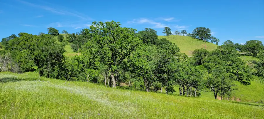 Happy Valley Trail, Cottonwood, CA 96022 - Image #2