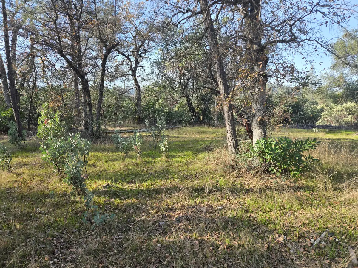 Lake Boulevard, Redding, CA 96002 - Image #1