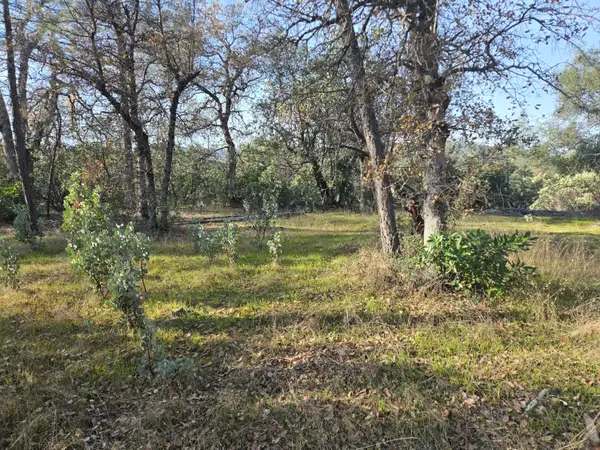 Lake Boulevard, Redding, CA 96002