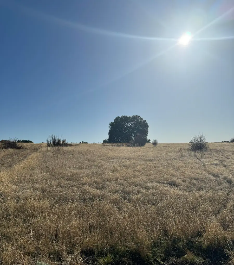 Lot 2 Sunset Hills Drive, Cottonwood, CA 96022 - Image #2