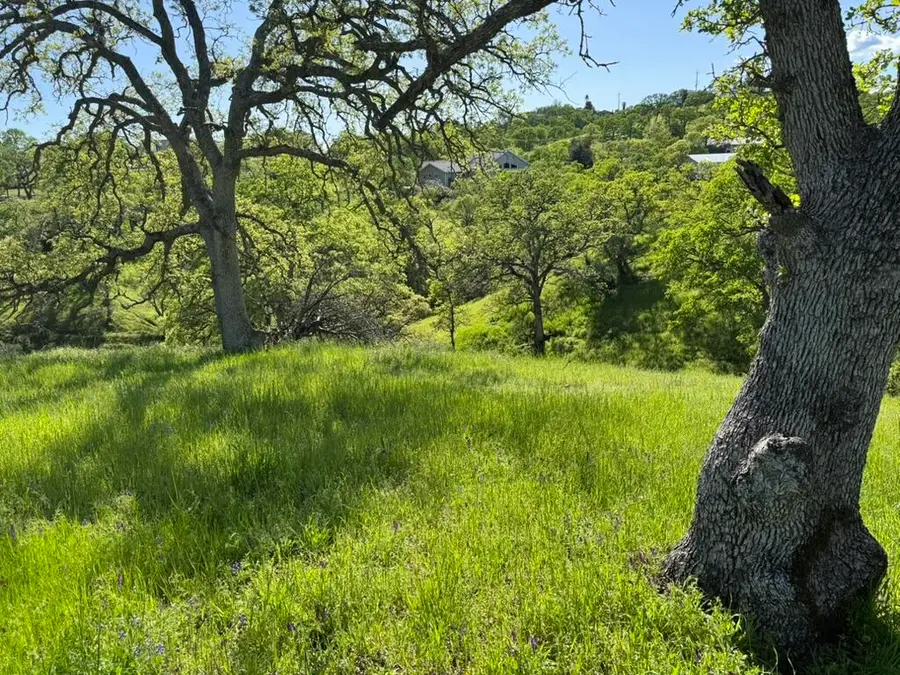 22545 Rio Robles Drive, Red Bluff, CA 96080 - Image #2