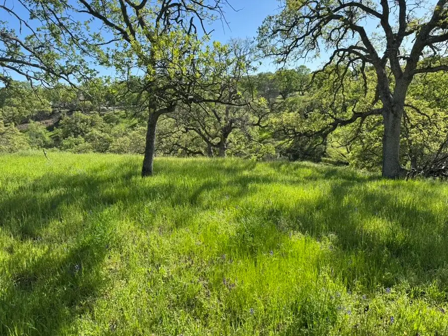 22545 Rio Robles Drive, Red Bluff, CA 96080 - Image #3