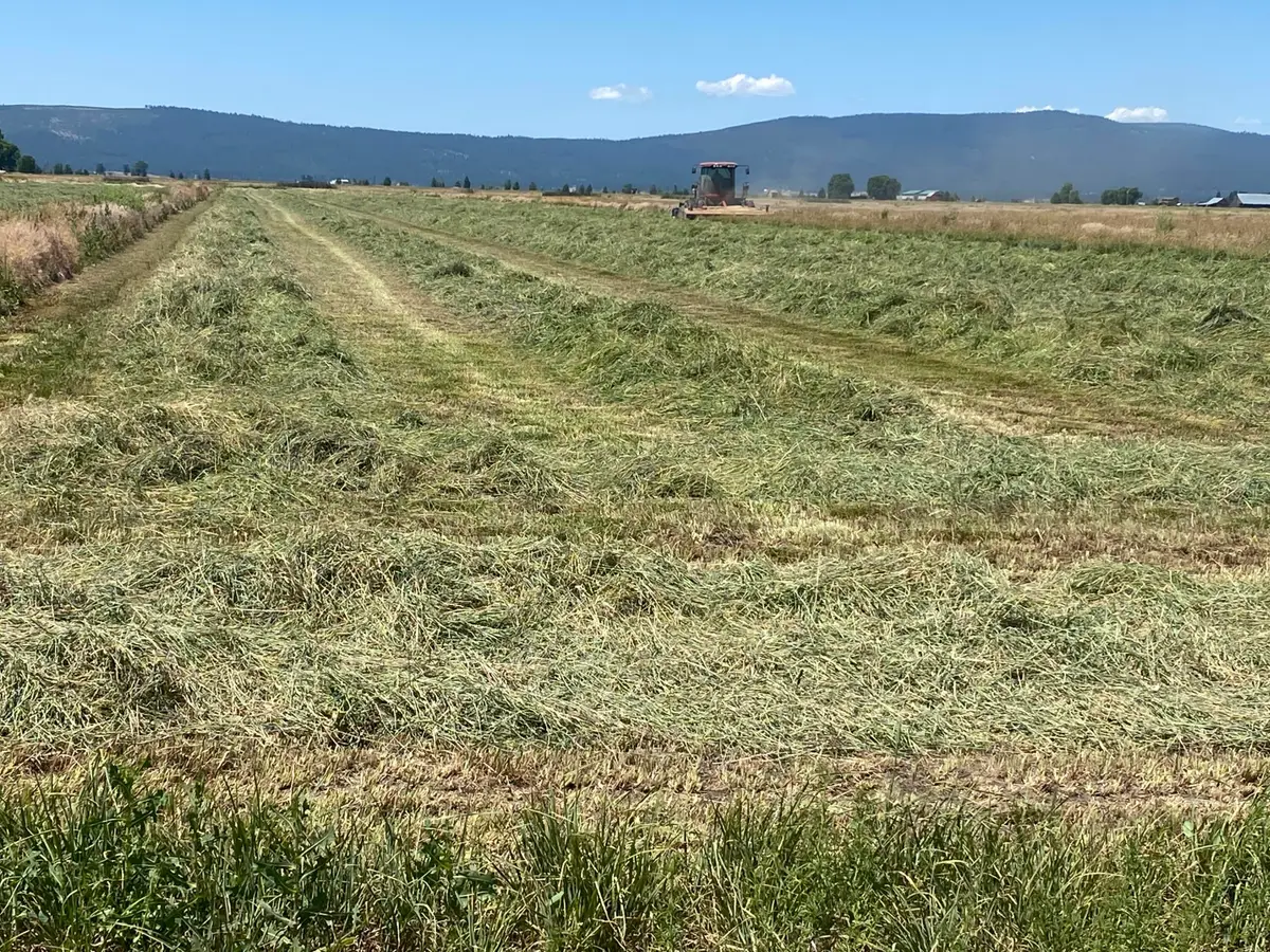 553-185 Punkin Center Road, Bieber, CA 96009 - Image #1