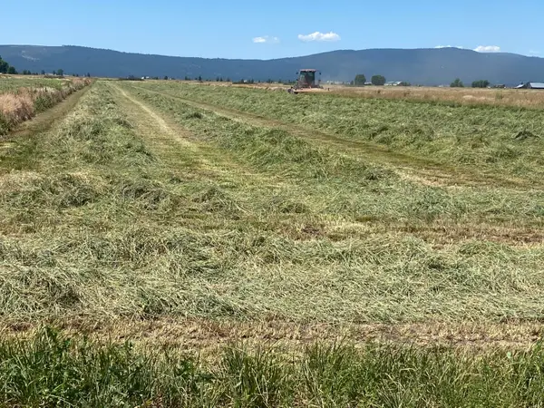 553-185 Punkin Center Road, Bieber, CA 96009