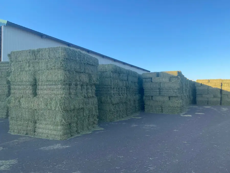 553-185 Punkin Center Road, Bieber, CA 96009 - Image #2