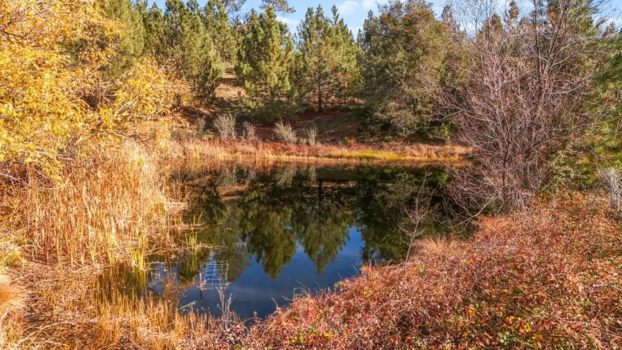 5750 Woodcutters Way, Manton, CA 96059 - Image #3