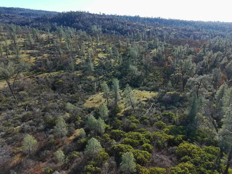 Pine Bluff Drive, Shingletown, CA 96088 - Image #2