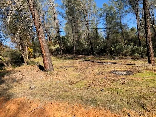 Shasta Dam Boulevard, Shasta Lake, CA 96019 - Image #2