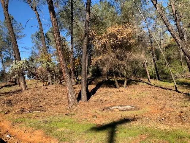 Shasta Dam Boulevard, Shasta Lake, CA 96019 - Image #3