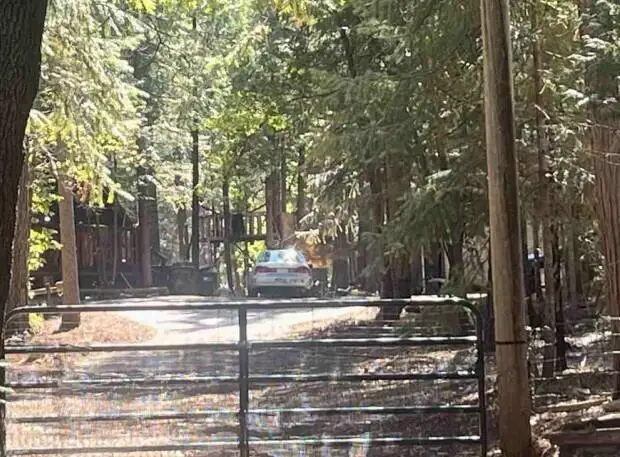 30889 Bambi Drive, Shingletown, CA 96088 - Image #1