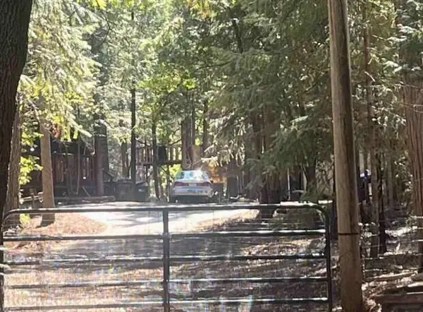 30889 Bambi Drive, Shingletown, CA 96088