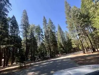 30889 Bambi Drive, Shingletown, CA 96088 - Image #3