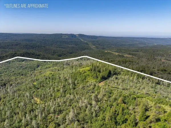 Melton Road, Round Mountain, CA 96084