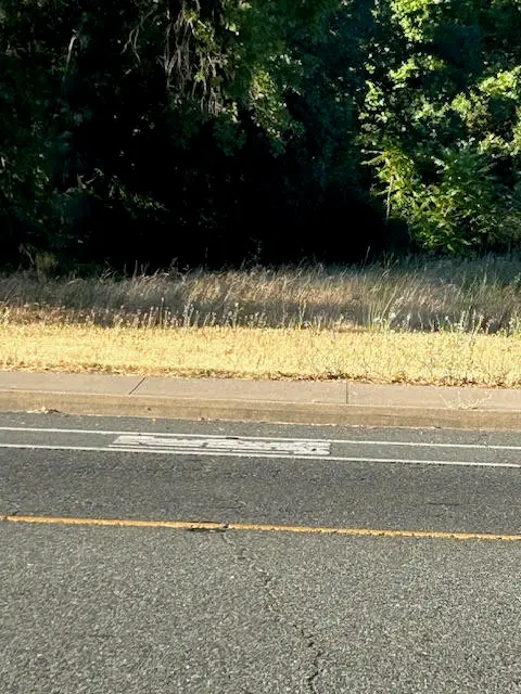 5128 Shasta Dam Boulevard, Shasta Lake, CA 96019 - Image #3