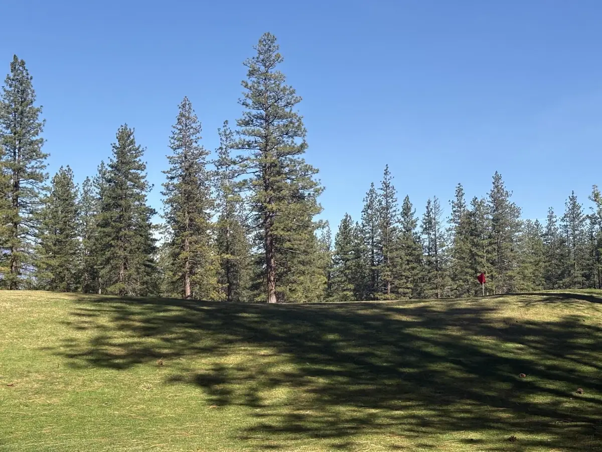 Lot 8-9 Harney Court, Weed, CA 96094 - #1