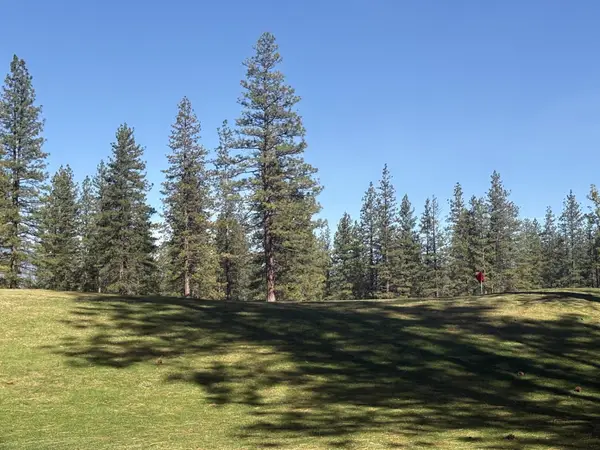 Lot 8-9 Harney Court, Weed, CA 96094