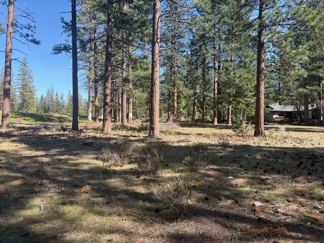 Lot 8-9 Harney Court, Weed, CA 96094 - #2