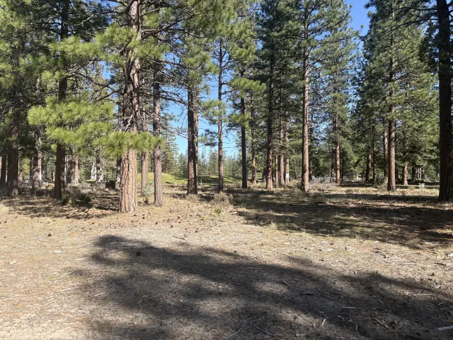 Lot 8-9 Harney Court, Weed, CA 96094 - #3