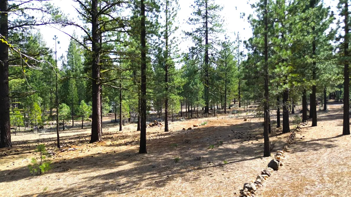 42451 Blue Heron Circle, Old Station, CA 96071 - #1