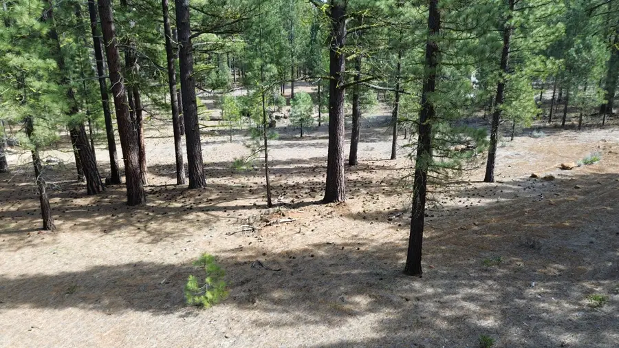 42451 Blue Heron Circle, Old Station, CA 96071 - #2