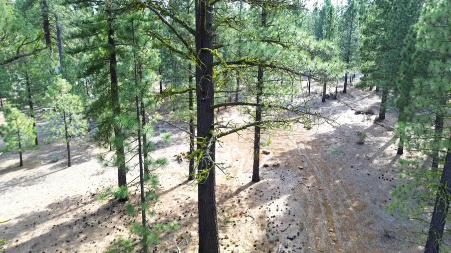 42451 Blue Heron Circle, Old Station, CA 96071 - #3