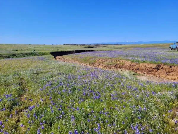 Leopard Dr., Anderson, CA 96007