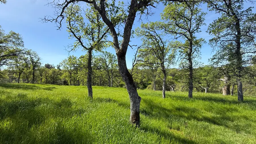 19816 Tedrock Mountain Place, Cottonwood, CA 96022 - #3