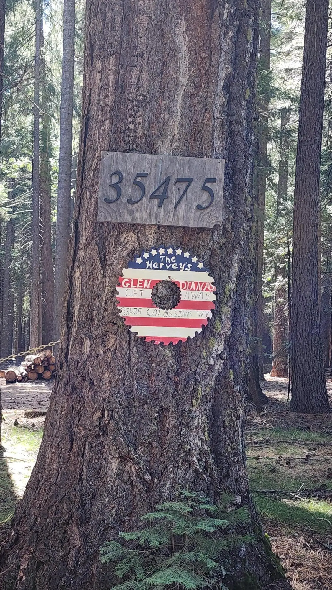 35475 Colossians Way, Shingletown, CA 96088 - #1