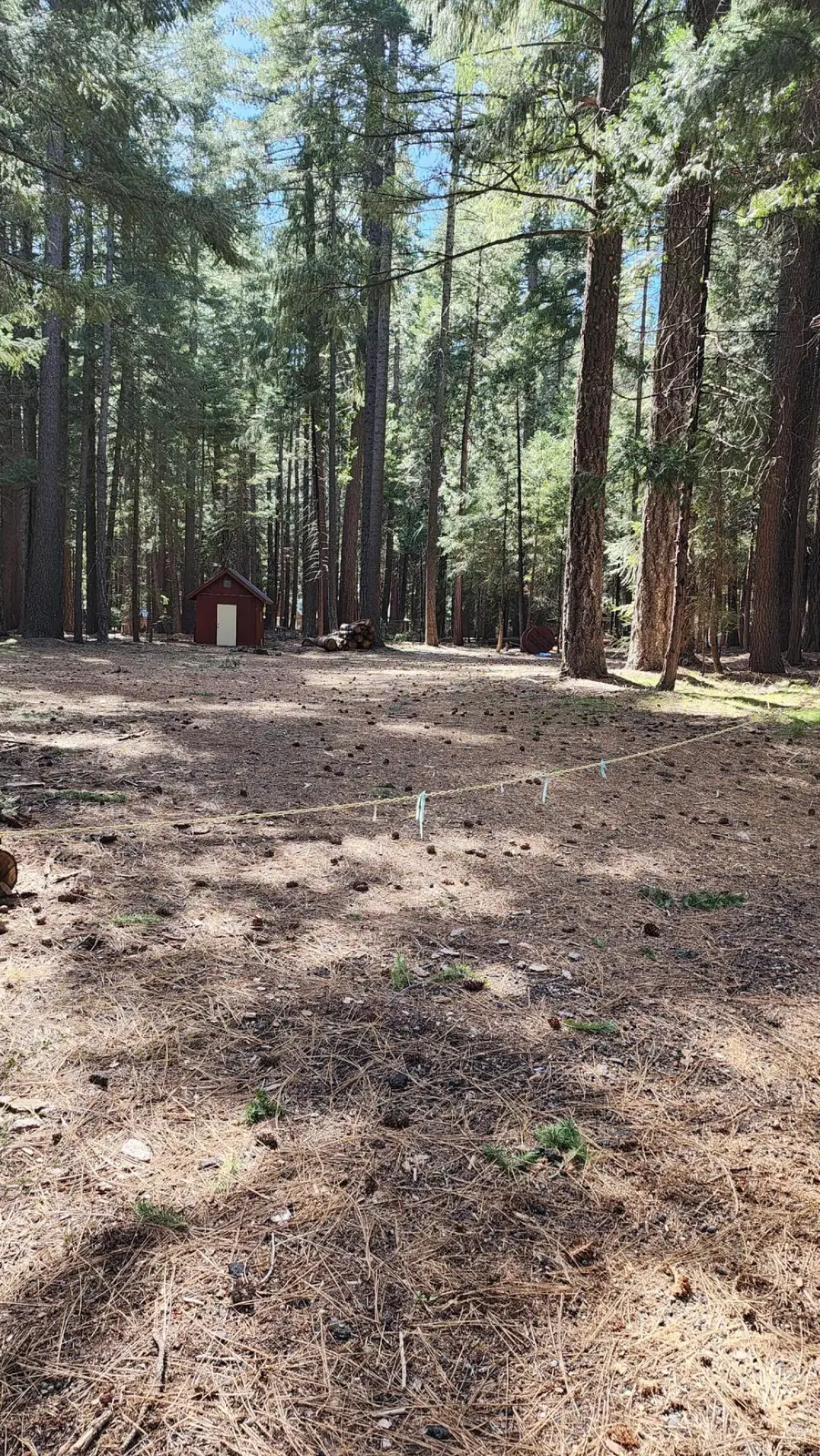 35475 Colossians Way, Shingletown, CA 96088 - #2