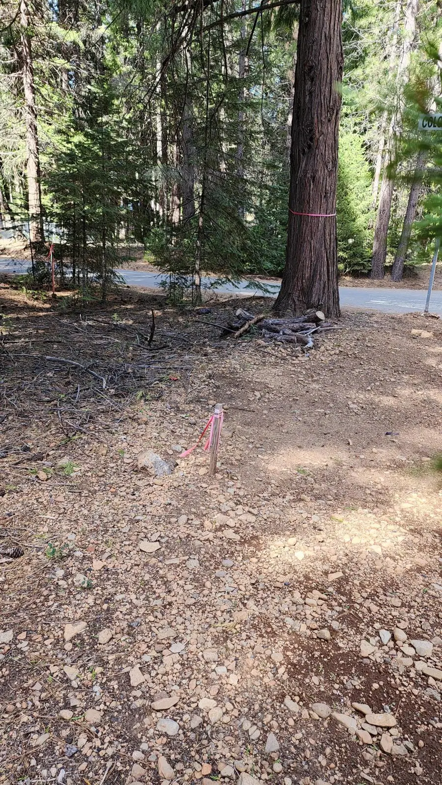 35475 Colossians Way, Shingletown, CA 96088 - #3