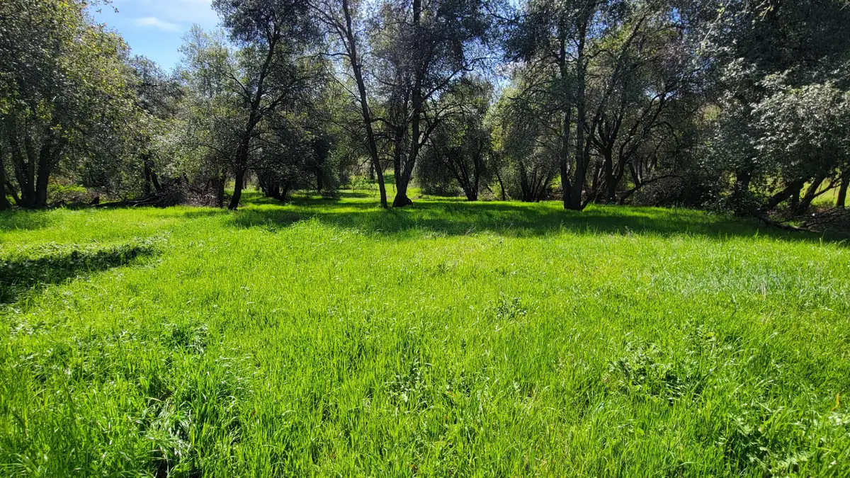 000 Placer Road, Igo, CA 96047 - #1