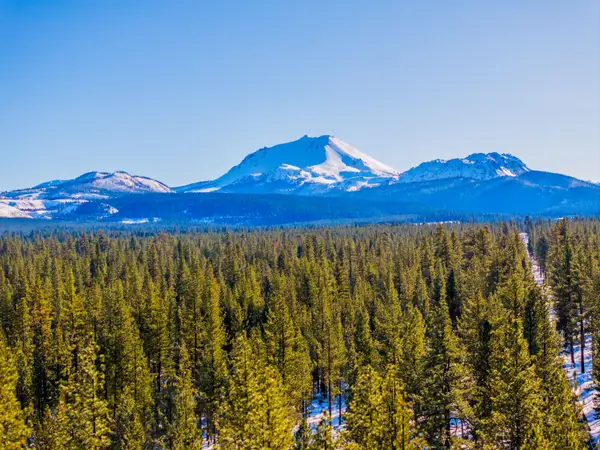 Big Springs Boulevard, Old Station, CA 96071