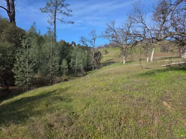 22176 E Elk Trail, Redding, CA 96003