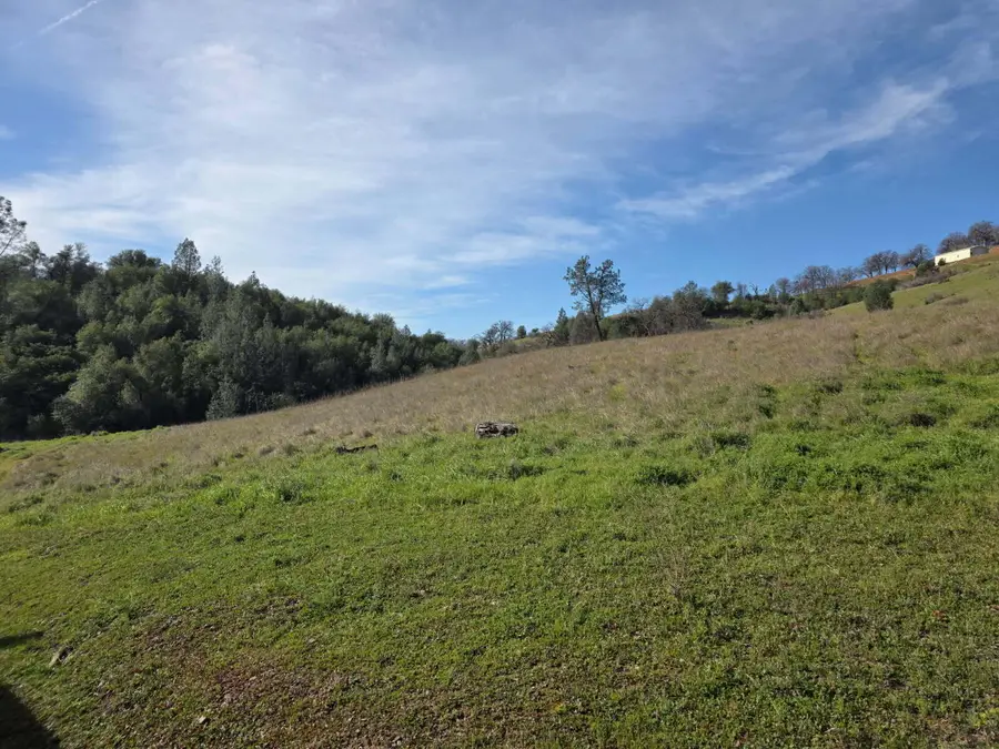 22176 E Elk Trail, Redding, CA 96003 - #3