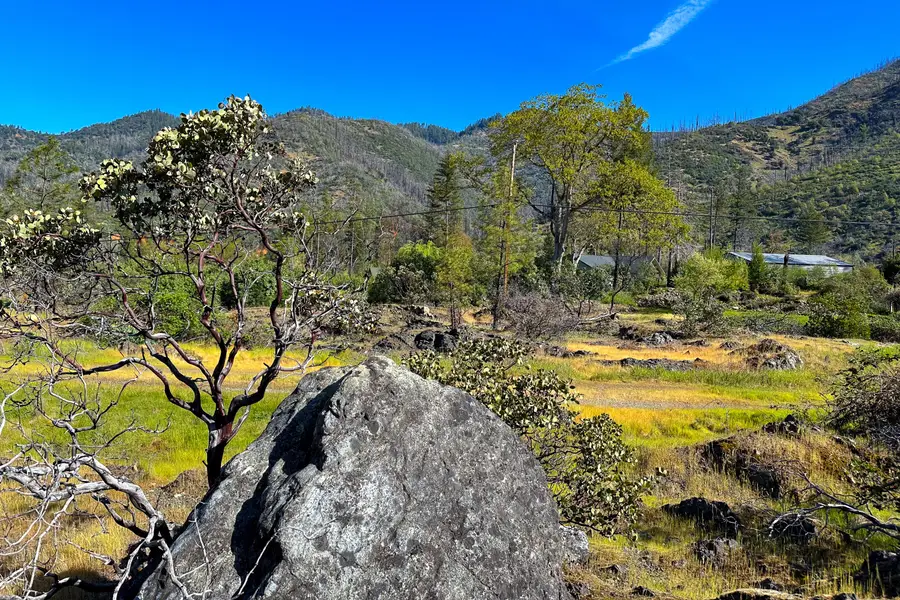 1271 Lake Road, Junction City, CA 96048 - #2