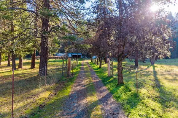 26100 California 3, Douglas City, CA 96024