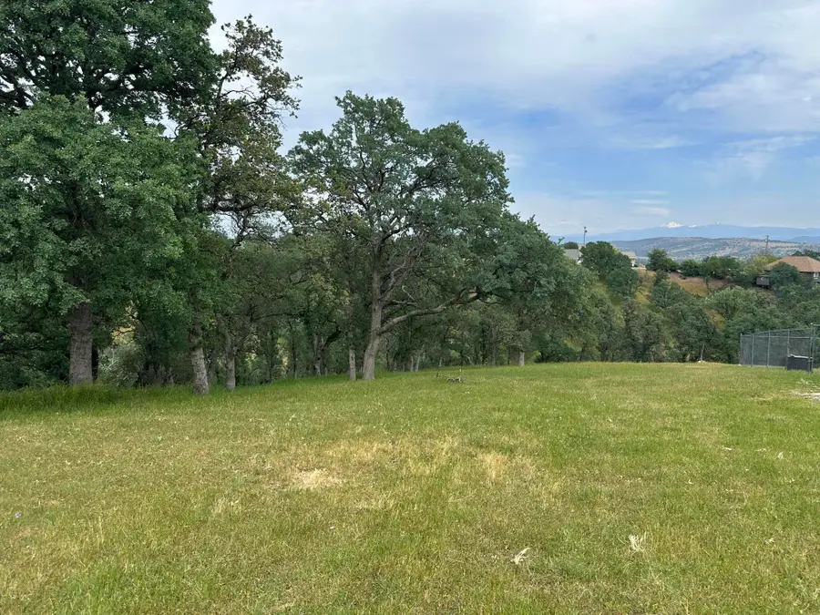 22188 Oak Run Place, Cottonwood, CA 96022 - #3