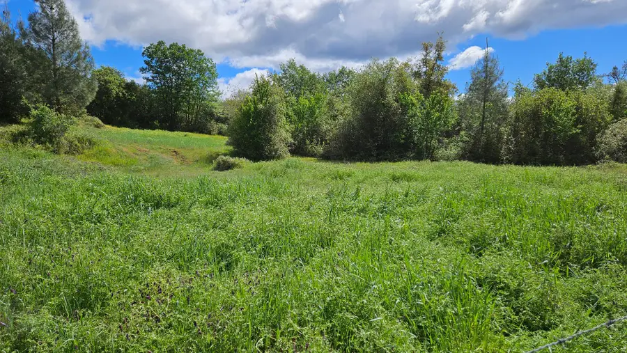 LOT A South Power House Road, Manton, CA 96059 - #2