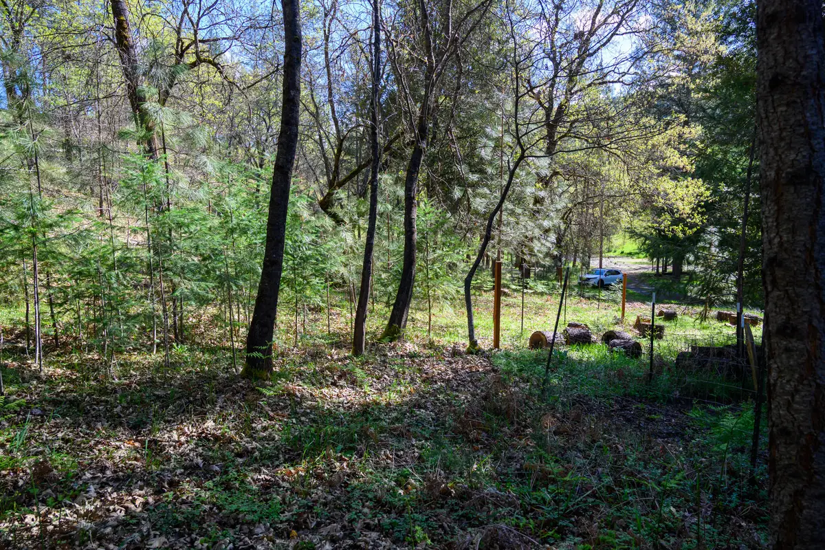 90 Hillcrest Drive, Lewiston, CA 96052 - #1