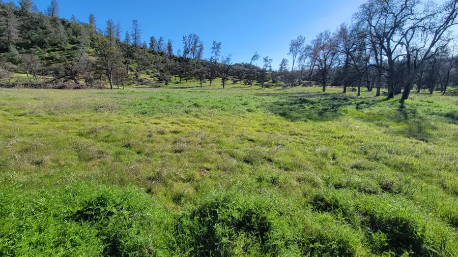 Lot 65 Gogo Road, Ono, CA 96047 - #2