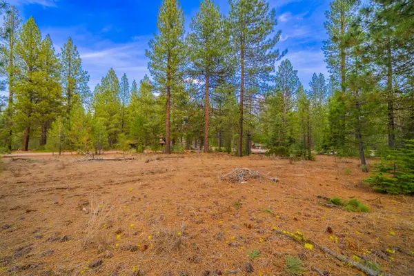 0 Sugar Loaf Lane, Old Station, CA 96071