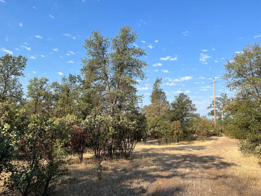 Dynasty Lane, Redding, CA 96003 - Image #3