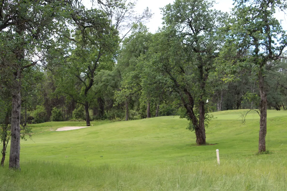 19387 Palermo Court, Redding, CA 96003 - #1