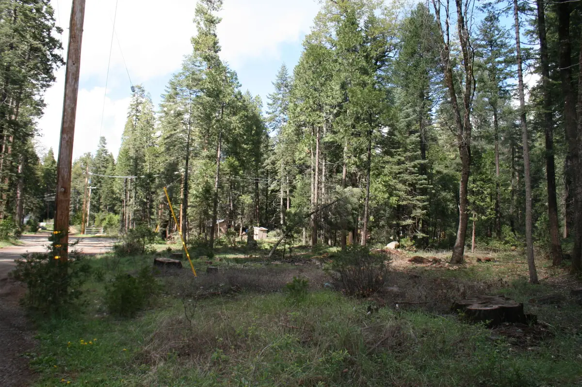 Lot 22 Eastwood Way, Shingletown, CA 96088 - #1