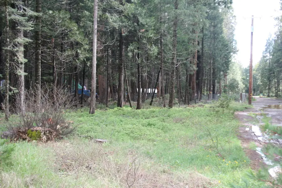 Lot 22 Eastwood Way, Shingletown, CA 96088 - #3